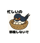 かわいい燕の毎日スタンプ（個別スタンプ：39）