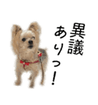 はぐくるねむちゃん！（個別スタンプ：3）