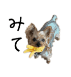 はぐくるねむちゃん！（個別スタンプ：4）