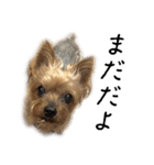 はぐくるねむちゃん！（個別スタンプ：9）