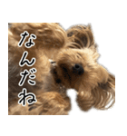 はぐくるねむちゃん！（個別スタンプ：12）
