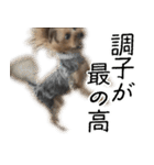 はぐくるねむちゃん！（個別スタンプ：14）