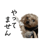 はぐくるねむちゃん！（個別スタンプ：16）