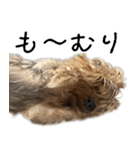 はぐくるねむちゃん！（個別スタンプ：17）
