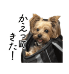 はぐくるねむちゃん！（個別スタンプ：22）