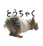 はぐくるねむちゃん！（個別スタンプ：24）