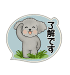 キュートなトイプードル ♡ ポジティブ（個別スタンプ：5）