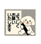 キュートなトイプードル ♡ ポジティブ（個別スタンプ：8）