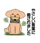 キュートなトイプードル ♡ ポジティブ（個別スタンプ：11）