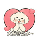 キュートなトイプードル ♡ ポジティブ（個別スタンプ：12）