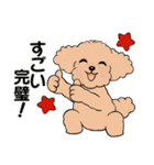 キュートなトイプードル ♡ ポジティブ（個別スタンプ：13）