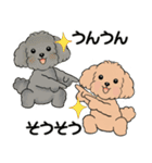 キュートなトイプードル ♡ ポジティブ（個別スタンプ：15）