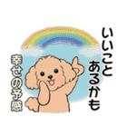 キュートなトイプードル ♡ ポジティブ（個別スタンプ：16）