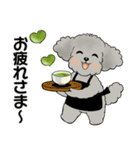 キュートなトイプードル ♡ ポジティブ（個別スタンプ：17）