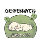 キュートなトイプードル ♡ ポジティブ（個別スタンプ：20）