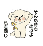 キュートなトイプードル ♡ ポジティブ（個別スタンプ：21）