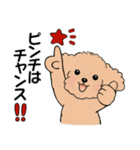 キュートなトイプードル ♡ ポジティブ（個別スタンプ：22）