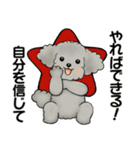 キュートなトイプードル ♡ ポジティブ（個別スタンプ：23）