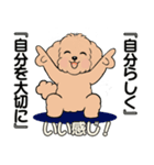 キュートなトイプードル ♡ ポジティブ（個別スタンプ：25）