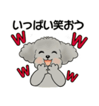 キュートなトイプードル ♡ ポジティブ（個別スタンプ：27）