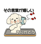 キュートなトイプードル ♡ ポジティブ（個別スタンプ：36）