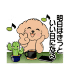 キュートなトイプードル ♡ ポジティブ（個別スタンプ：38）