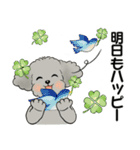 キュートなトイプードル ♡ ポジティブ（個別スタンプ：39）