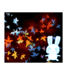 可愛い動物スタンプ01（個別スタンプ：13）