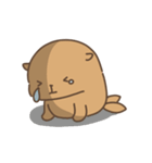 アシカの日常色々（個別スタンプ：17）