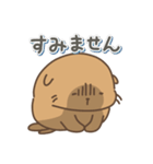 アシカの日常色々（個別スタンプ：26）