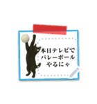 文が書き込める♥黒猫メモ（個別スタンプ：6）