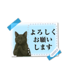 文が書き込める♥黒猫メモ（個別スタンプ：8）