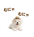 毎日使える♪マルチーズ子犬スタンプ（個別スタンプ：18）