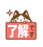 ハチワレさんがチラリと敬語でスタンプ（個別スタンプ：1）