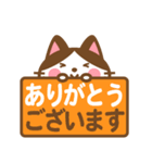 ハチワレさんがチラリと敬語でスタンプ（個別スタンプ：5）