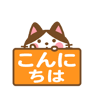 ハチワレさんがチラリと敬語でスタンプ（個別スタンプ：15）