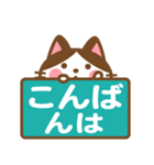 ハチワレさんがチラリと敬語でスタンプ（個別スタンプ：16）