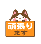 ハチワレさんがチラリと敬語でスタンプ（個別スタンプ：18）