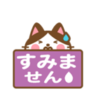 ハチワレさんがチラリと敬語でスタンプ（個別スタンプ：20）
