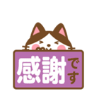 ハチワレさんがチラリと敬語でスタンプ（個別スタンプ：36）