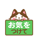 ハチワレさんがチラリと敬語でスタンプ（個別スタンプ：38）
