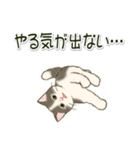 やる気が出ない だらだらにゃんこ（個別スタンプ：2）