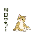 やる気が出ない だらだらにゃんこ（個別スタンプ：5）