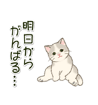 やる気が出ない だらだらにゃんこ（個別スタンプ：6）