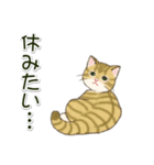 やる気が出ない だらだらにゃんこ（個別スタンプ：15）