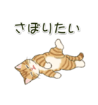 やる気が出ない だらだらにゃんこ（個別スタンプ：16）