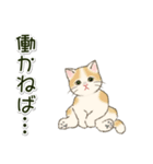 やる気が出ない だらだらにゃんこ（個別スタンプ：17）