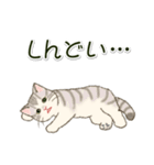 やる気が出ない だらだらにゃんこ（個別スタンプ：18）