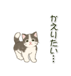 やる気が出ない だらだらにゃんこ（個別スタンプ：19）