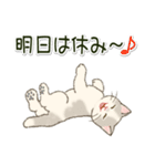 やる気が出ない だらだらにゃんこ（個別スタンプ：21）